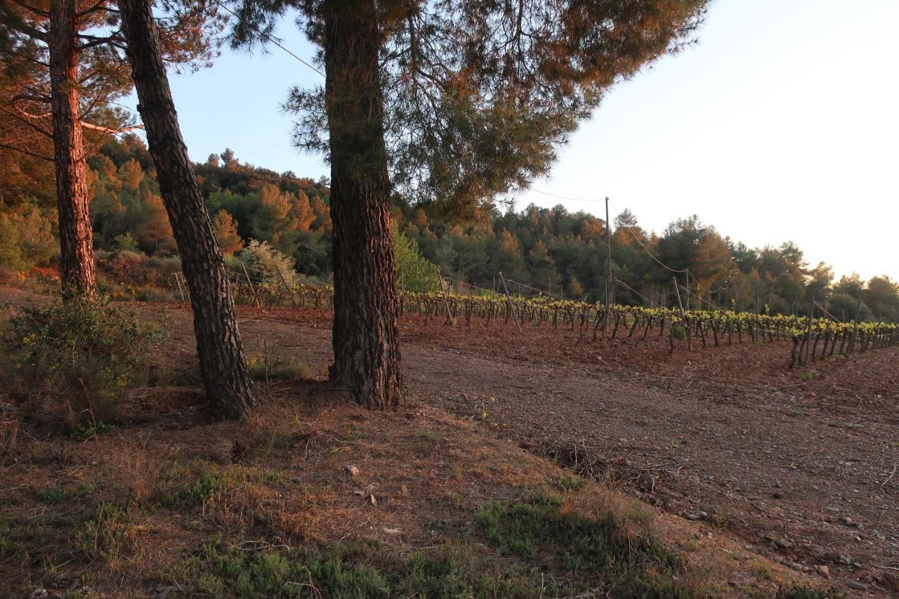 Masia Sagués Poblet Extérieur photo